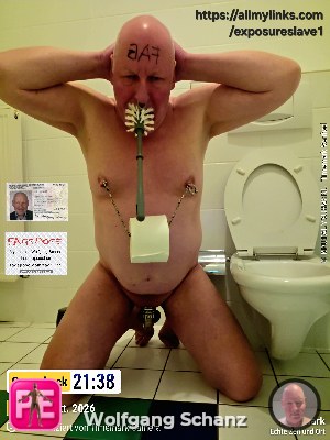 locked toilet fag
